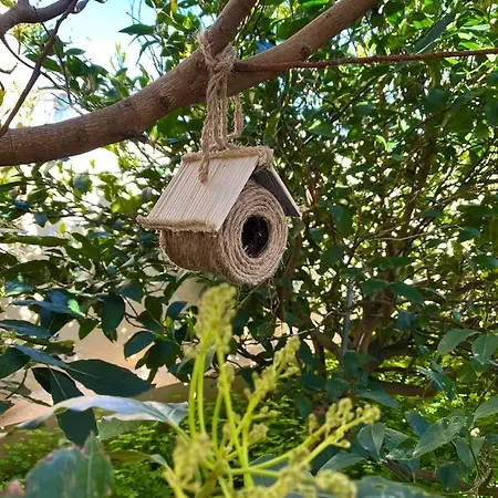 La Casa Del Verso * Teno