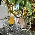 La Casa Del Verso Сasa de vacaciones *