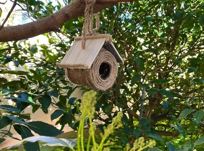 La Casa Del Verso * Teno